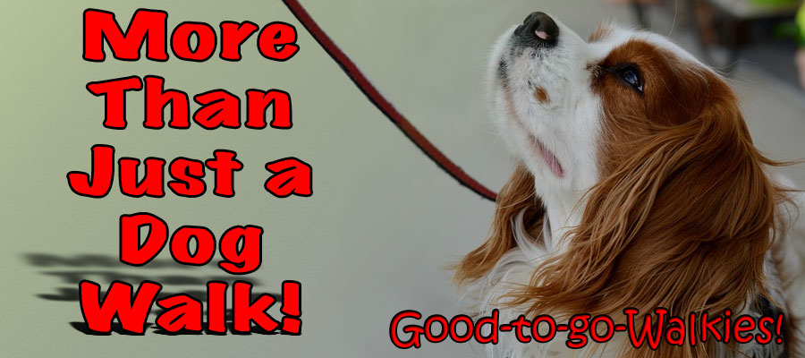 Good-to-go-Walkies